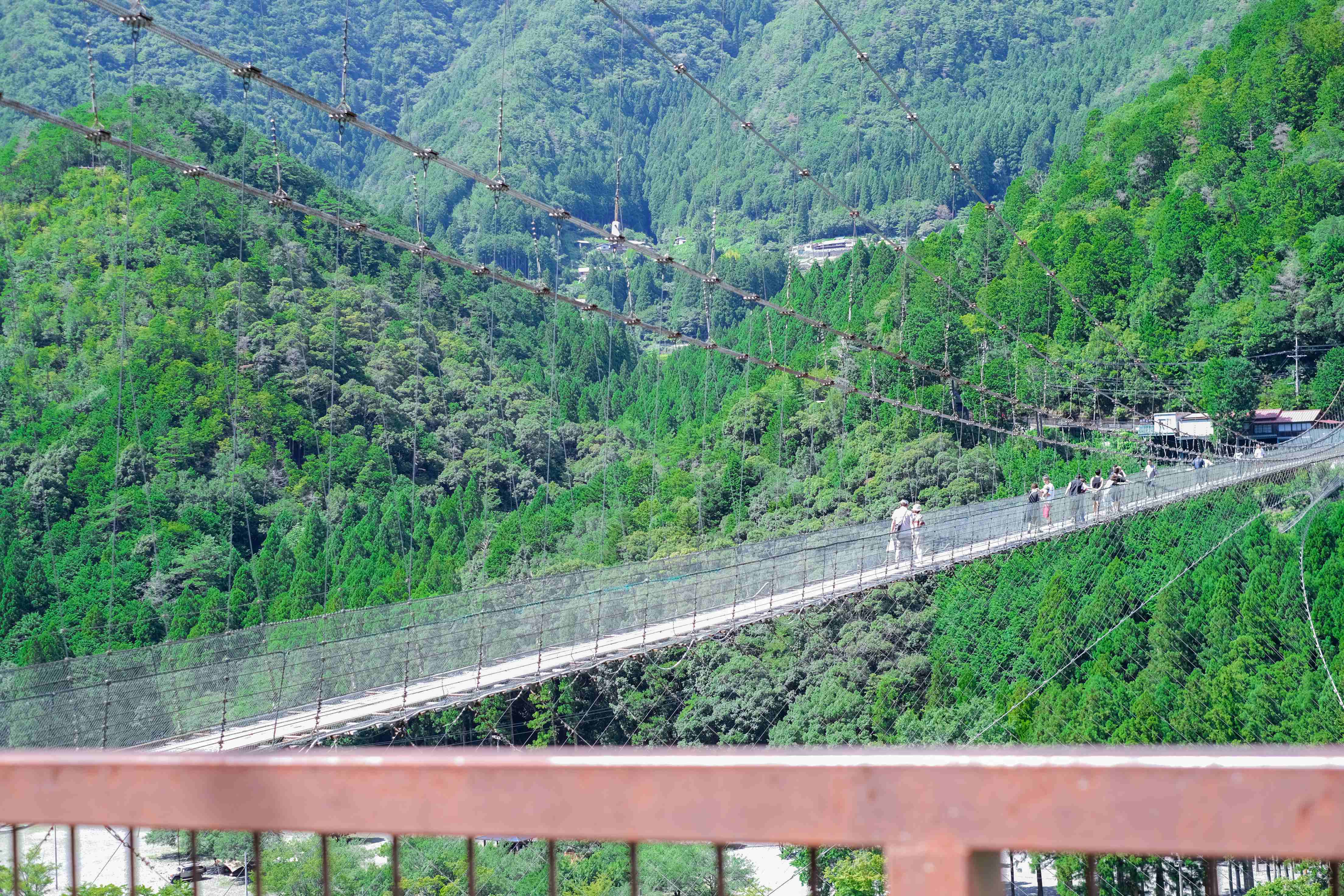 DSCF5908-5.JPG