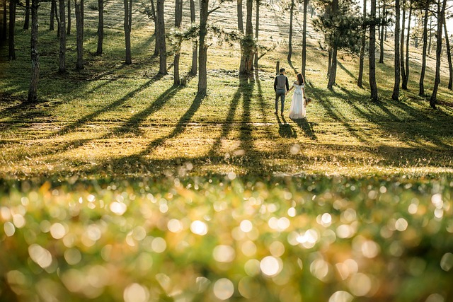 wedding-6674650_640 (1).jpg