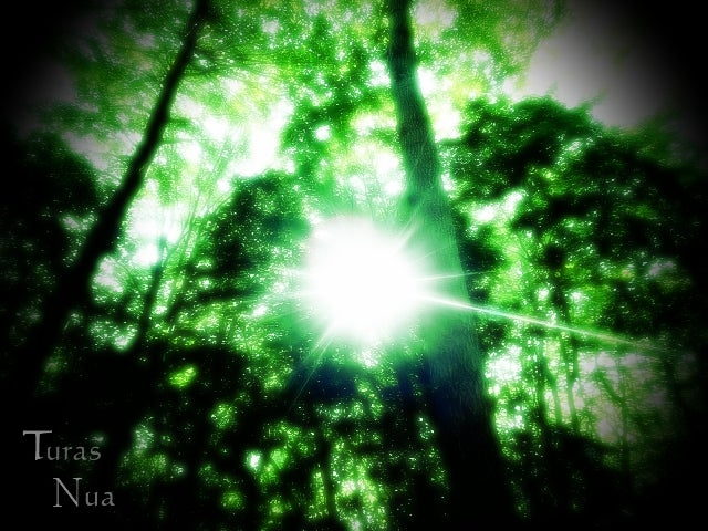 『Turas Nua』（ジャケット）.jpg