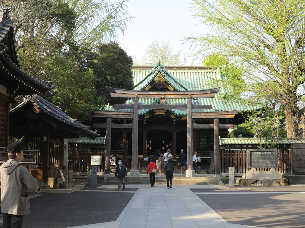 牛島神社の春002  .JPG