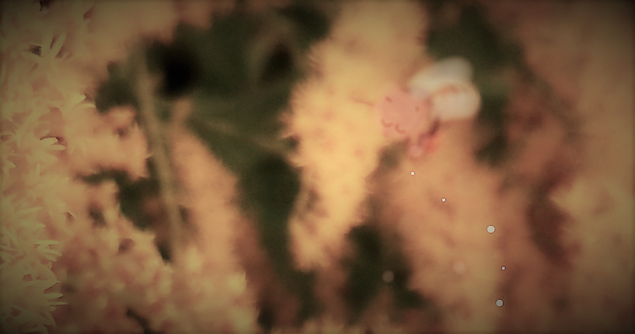 sketch-1666851200457 (2).png