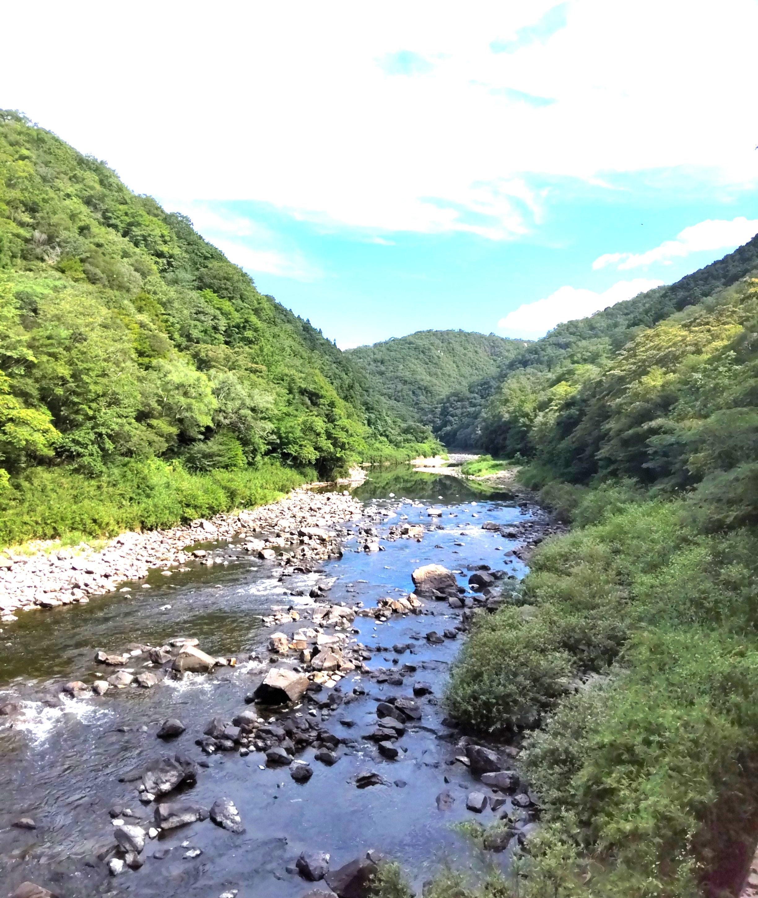IMG_20230730_084543 (1).jpg