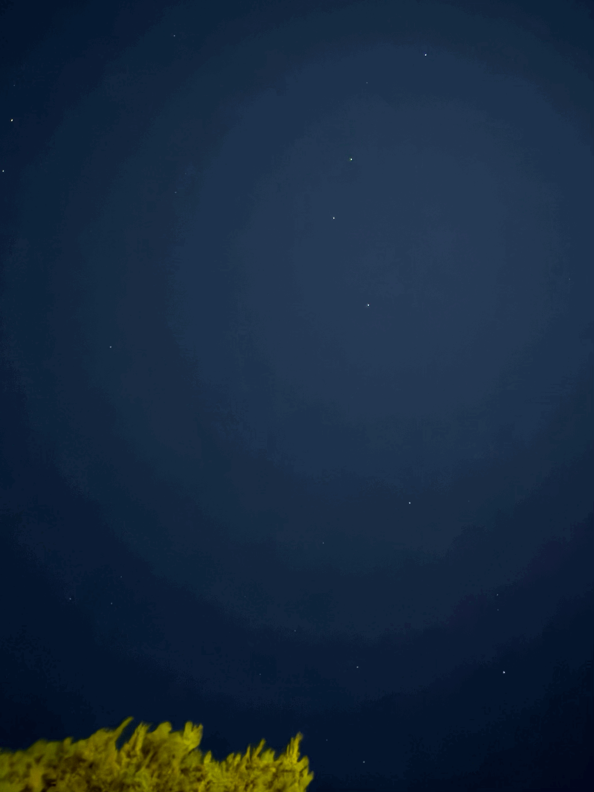tempImageususUr.gif