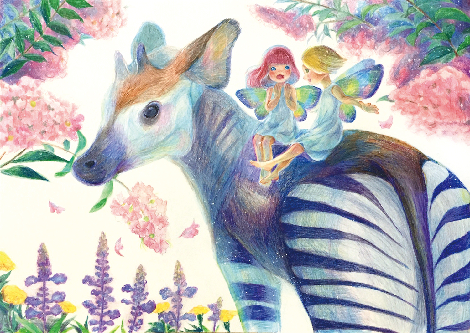 okapi.jpg