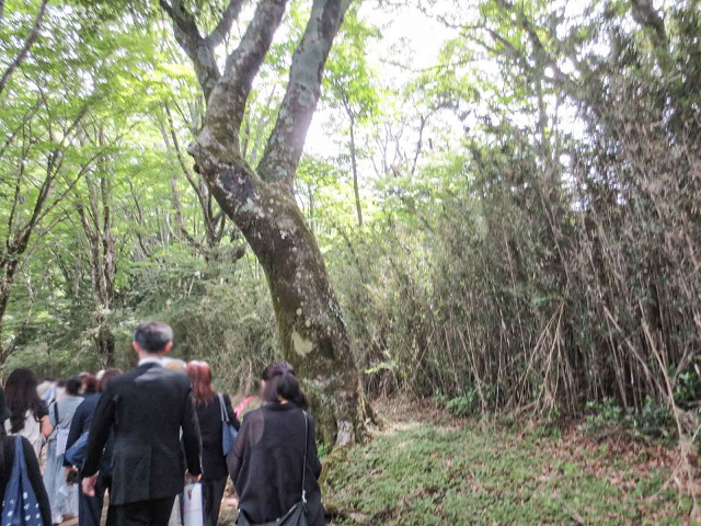 神山港から九頭竜神社まで.jpg