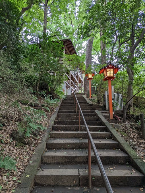 FgPW3PJUUAEMPLf.jfif