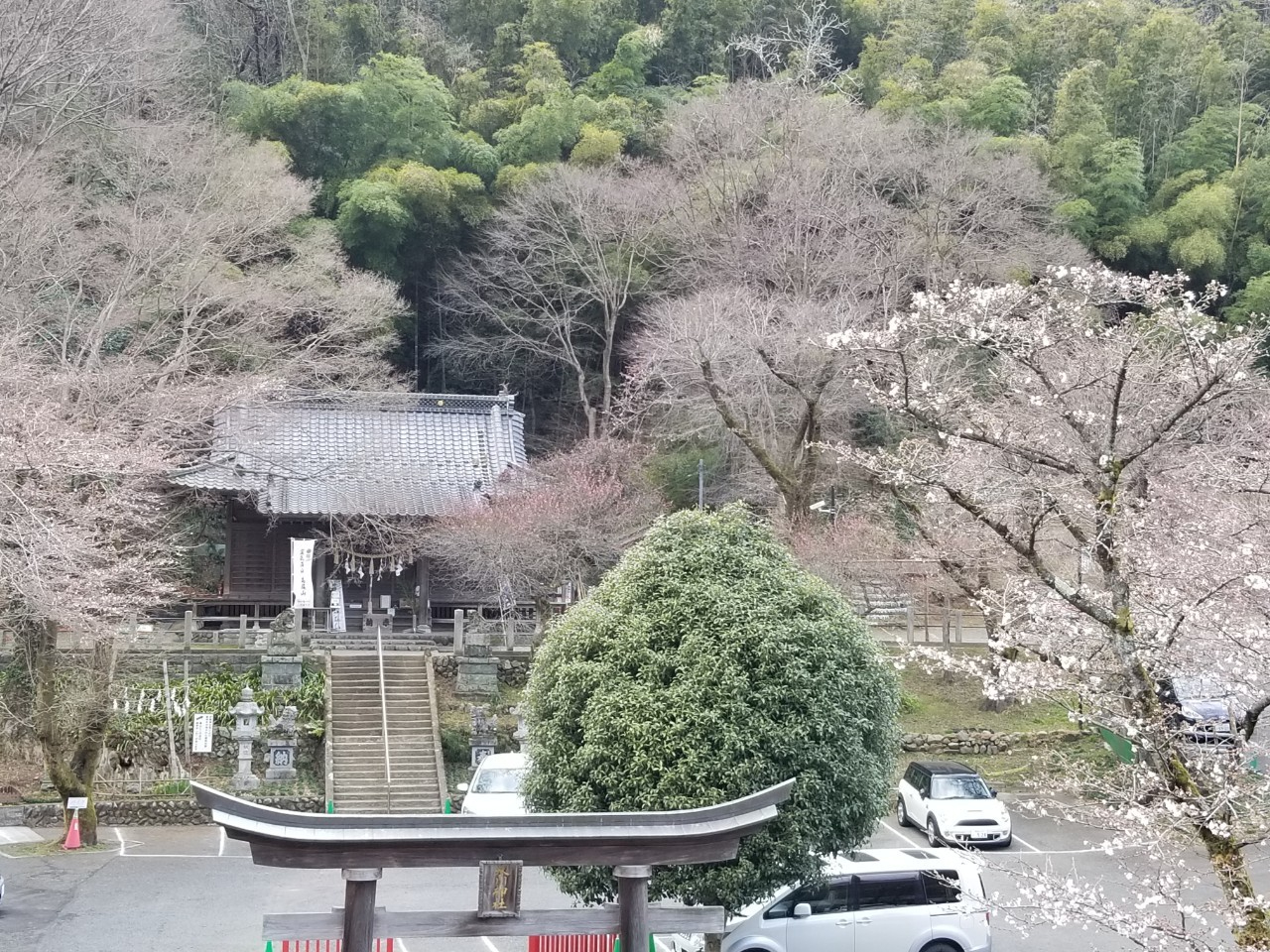 2021320『高尾山』_210320_0.jpg