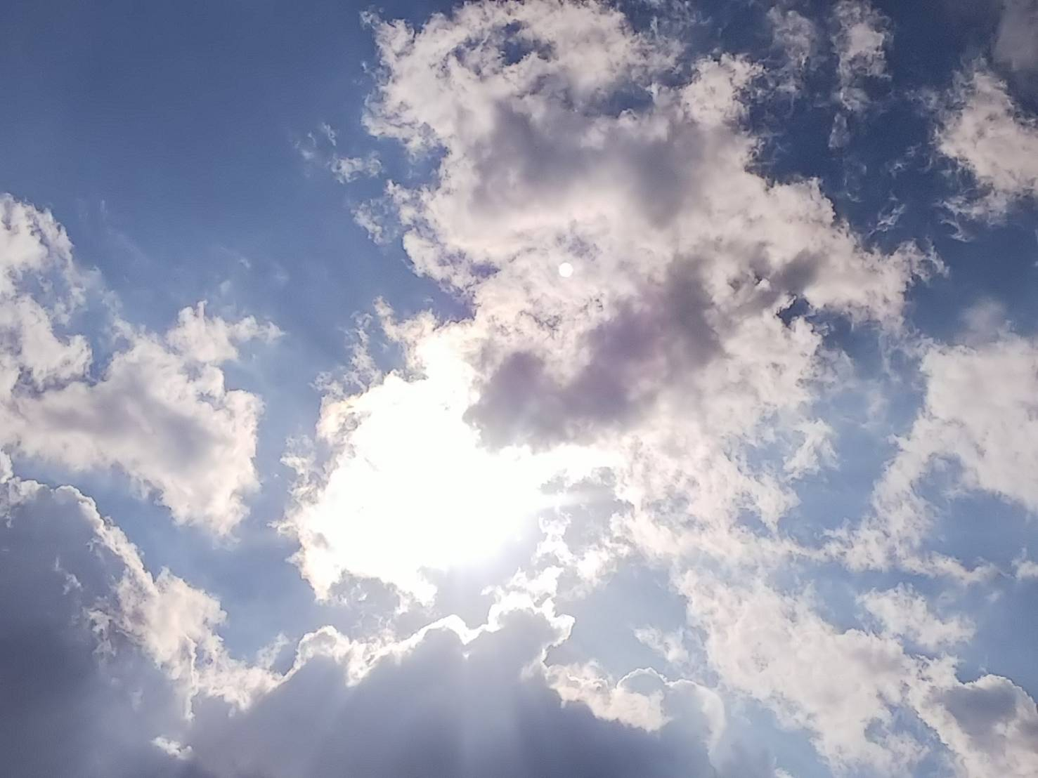 自分で撮った空1.jpg