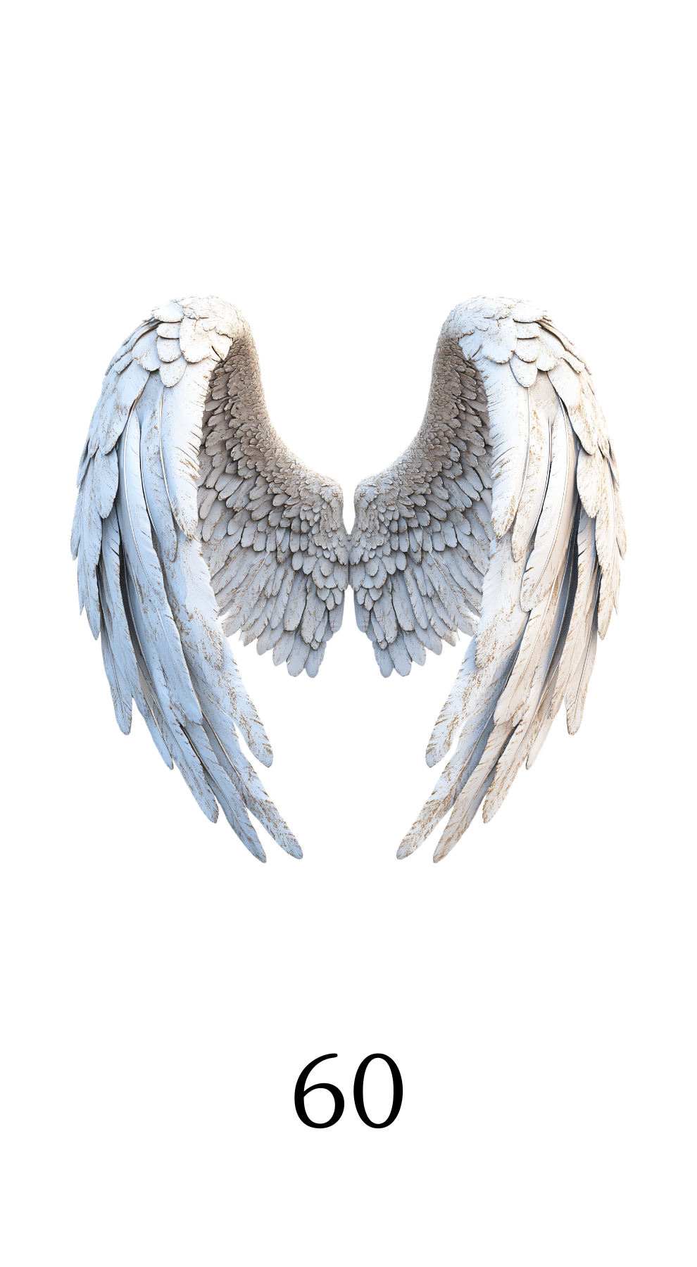 60-.png