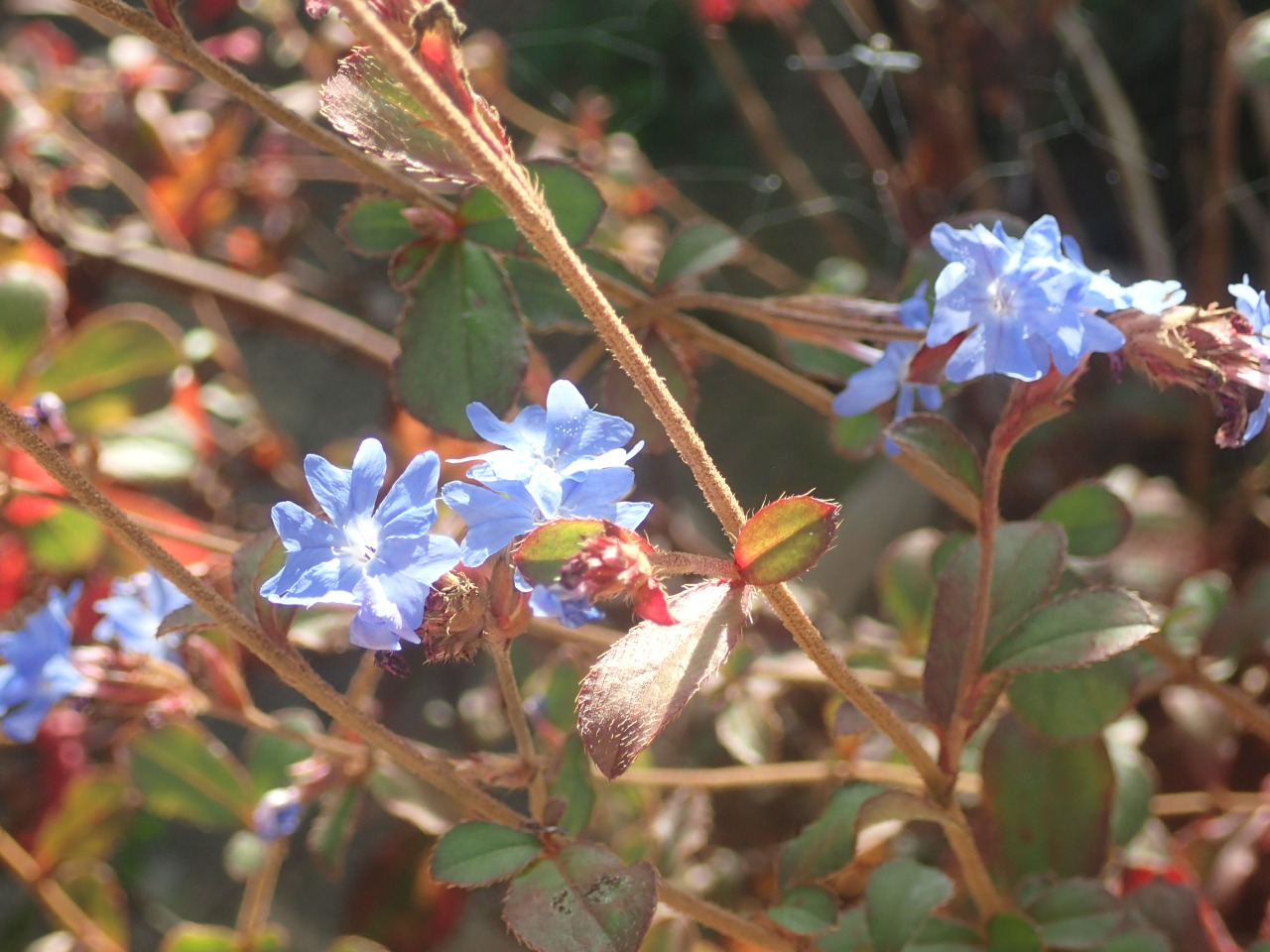 PB171047.JPG