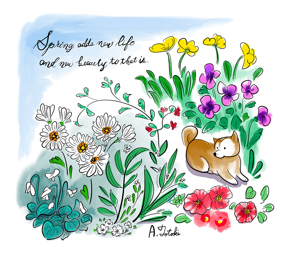 20240131springflowersibainutotokiakemi.jpg