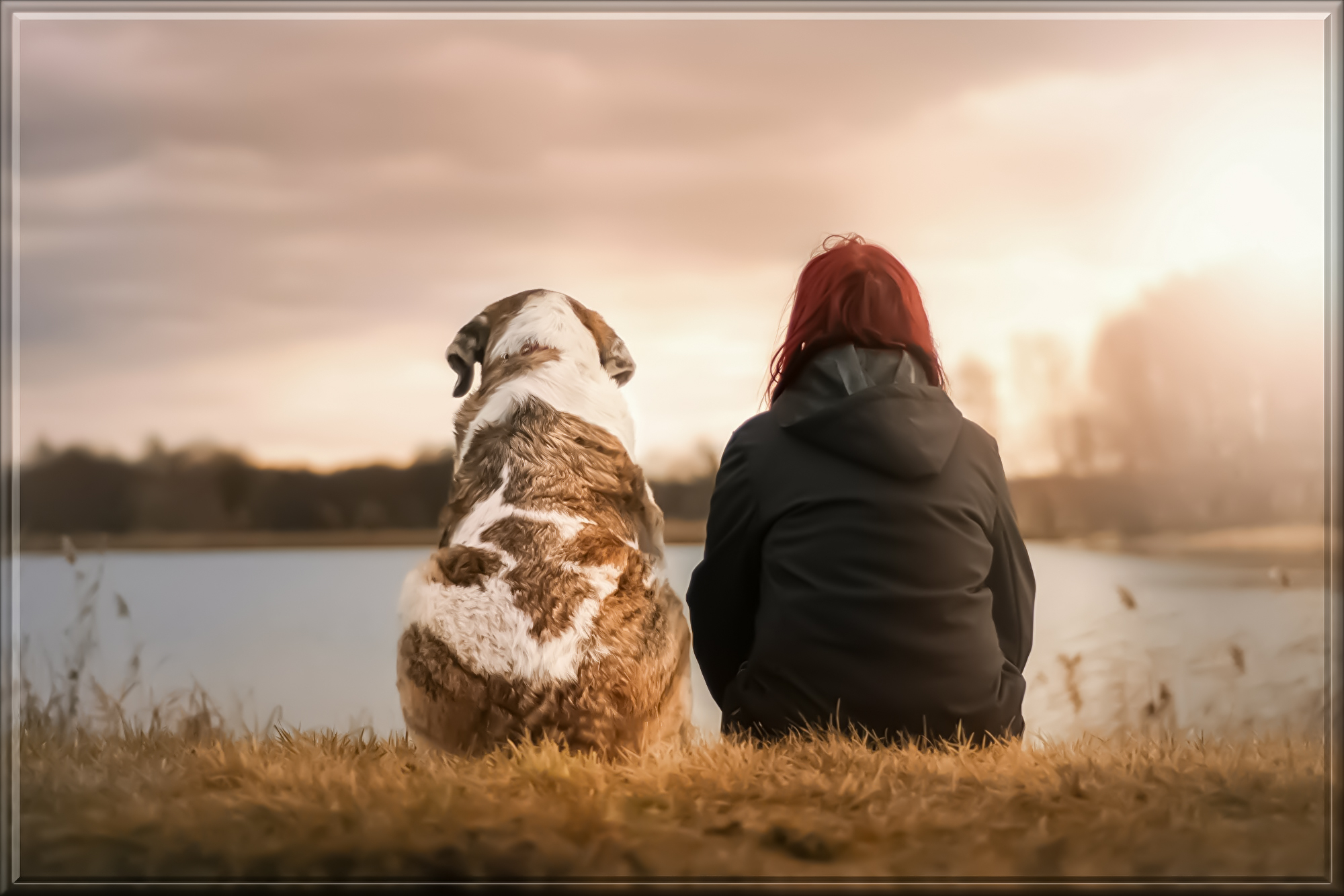 friends-3042751.jpg