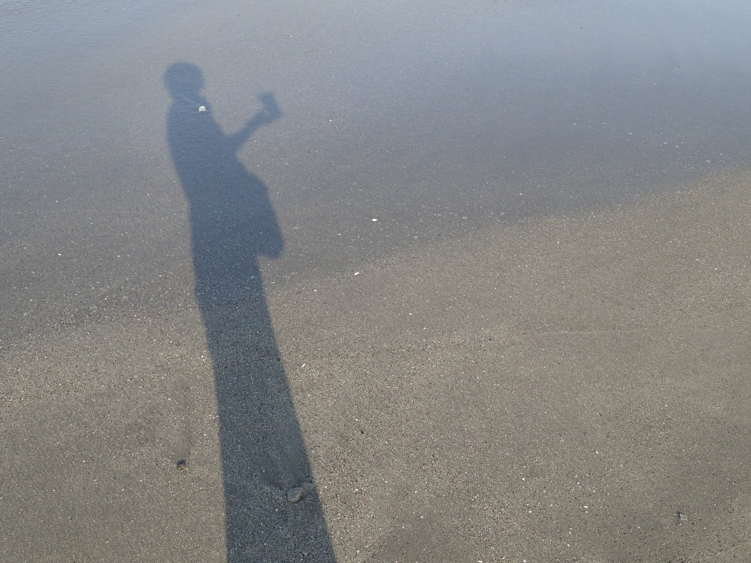 P8110741.JPG