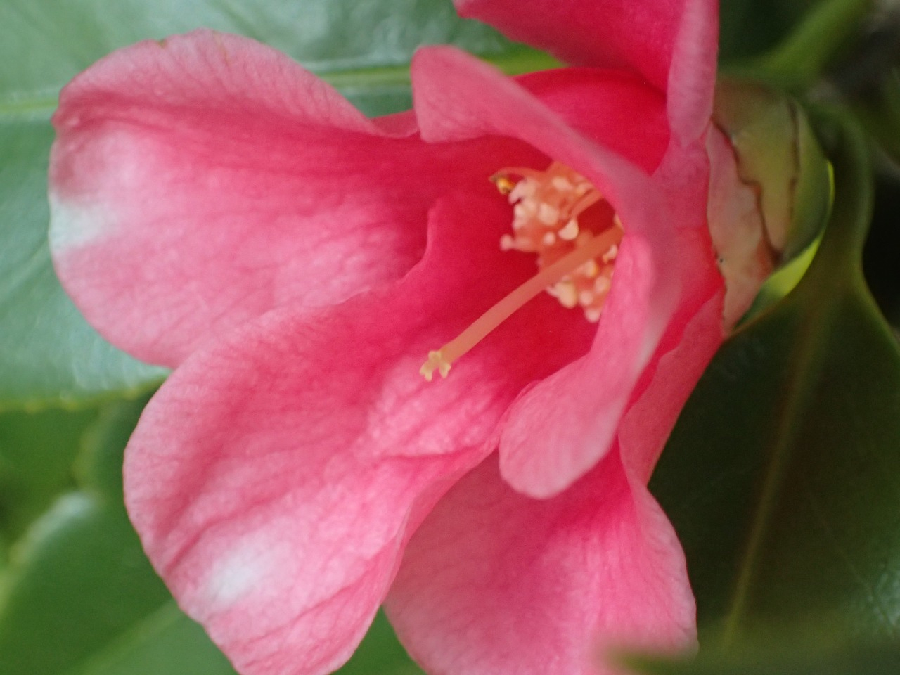 P3220141.JPG