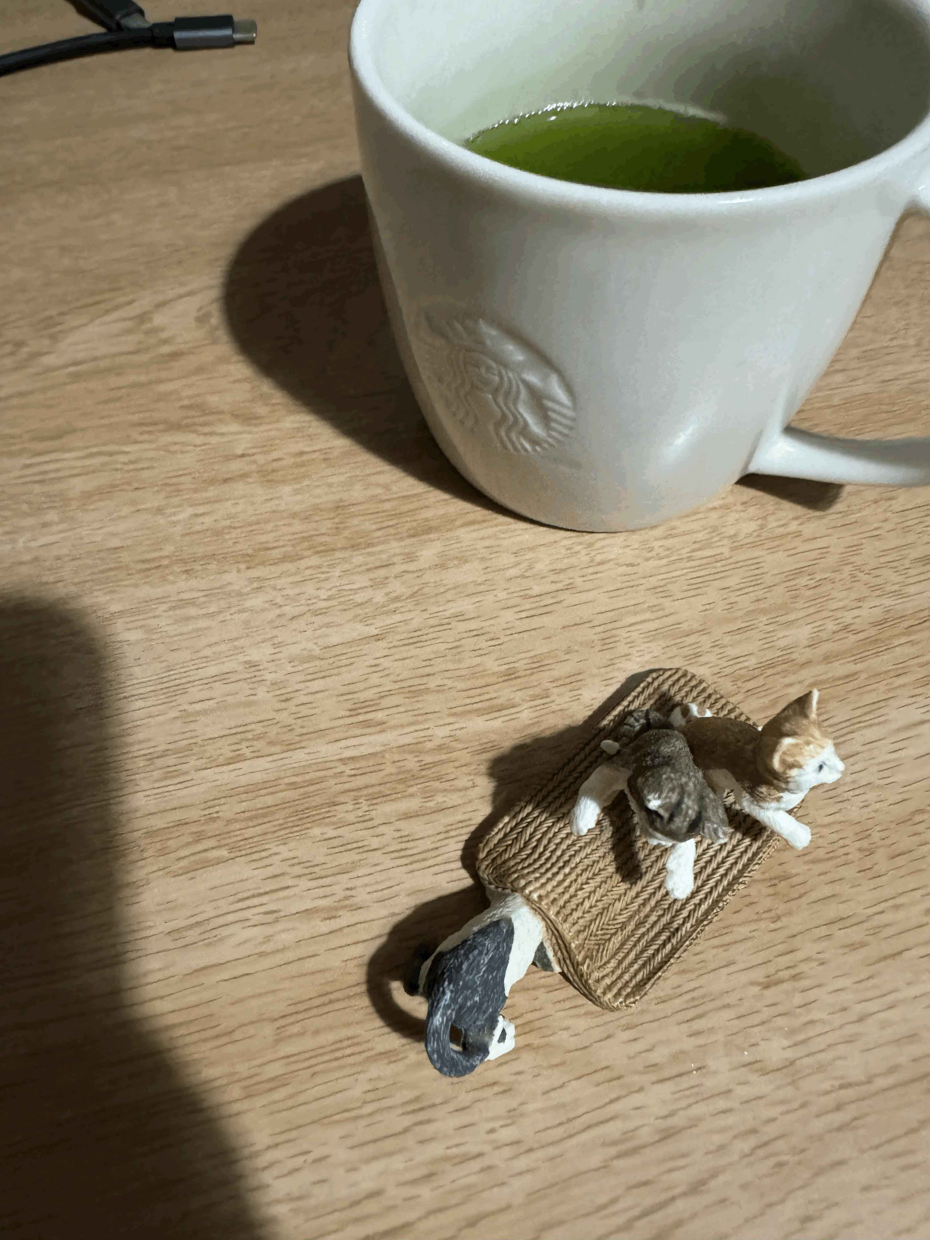tempImagezQJkKi.gif