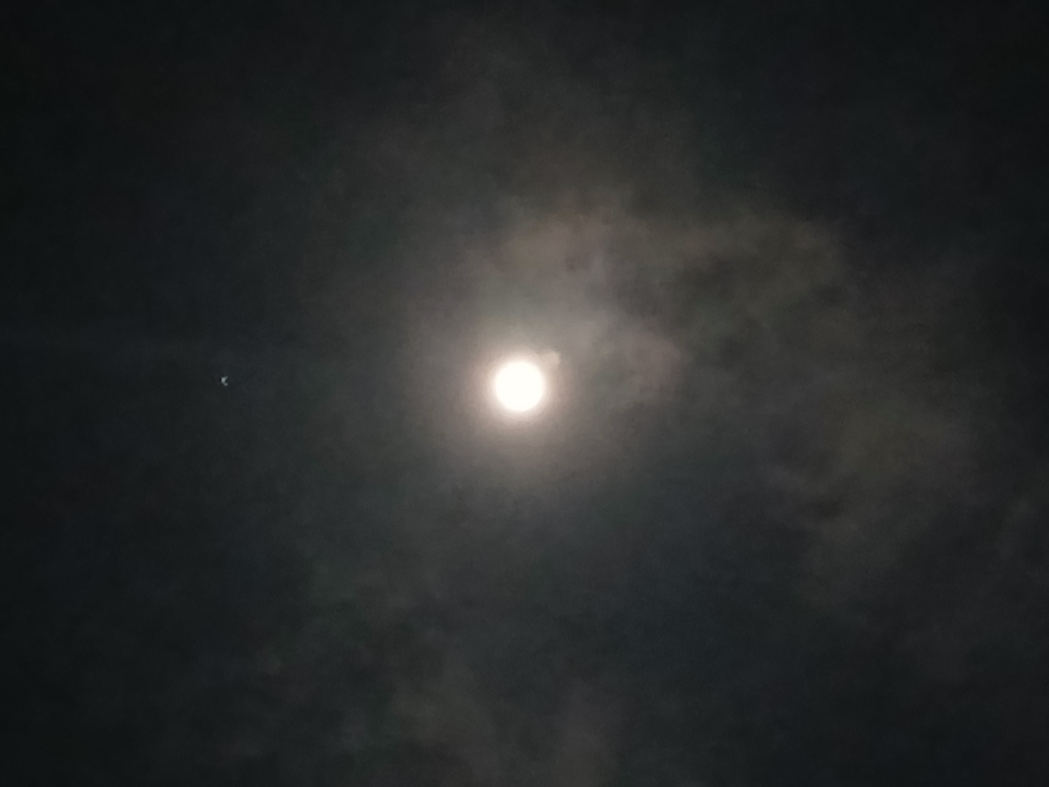 20260831_024008.jpg