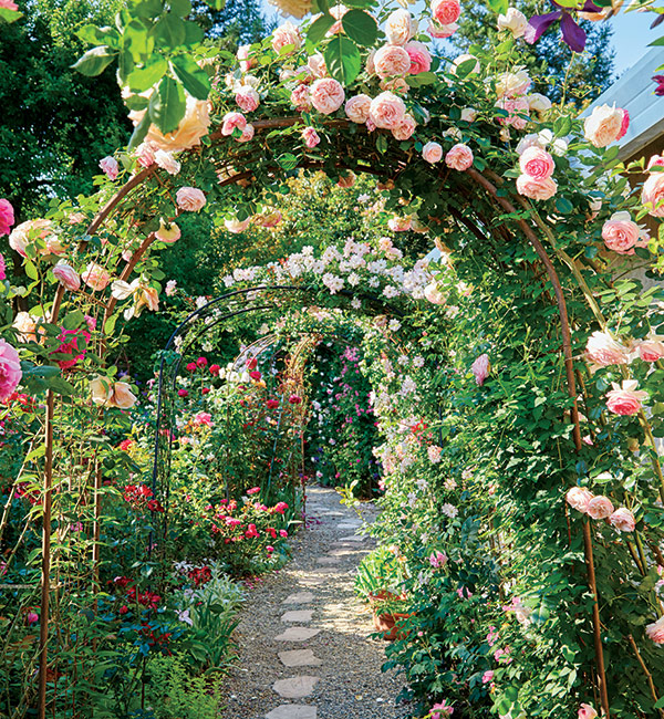 Rose-Garden-Archway.jpg