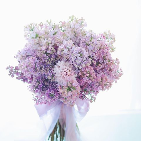 ギュッとつまった小花感が可愛い♡お洒落なライラックブーケ10選 _ ウェディングニュース.jfif