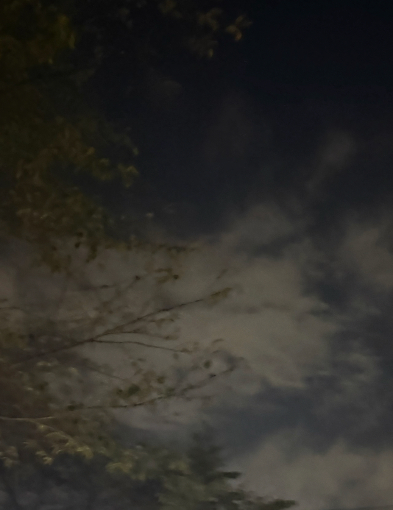 最新の写真を表示 10.png