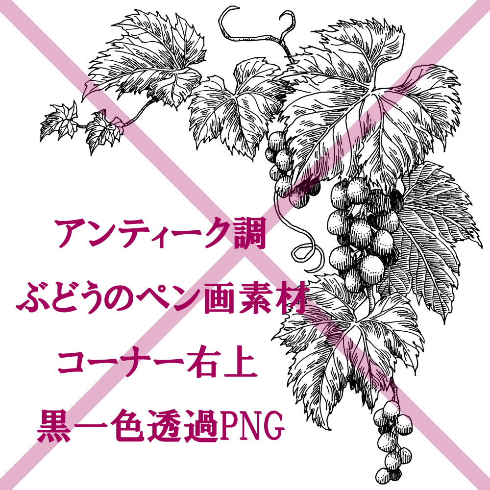 見本画像＿ぶどうフレームパーツ素材右上.jpg