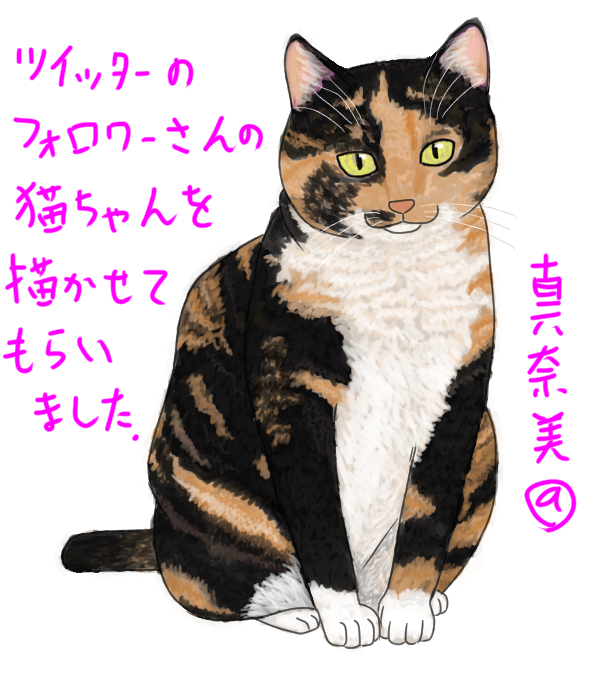 最上灯子さんのペット完成ポートフォリオ.jpg