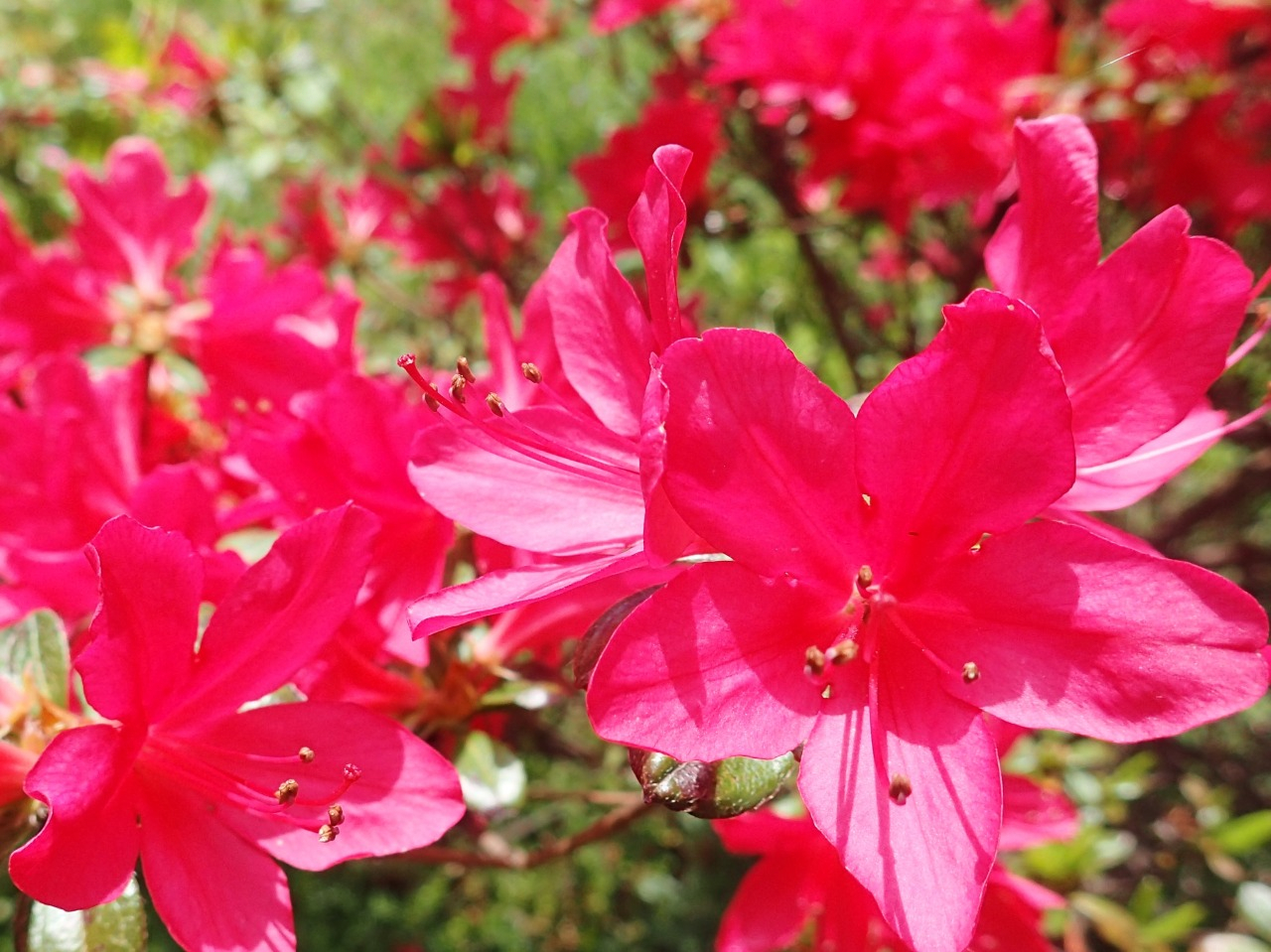 P4160231.JPG