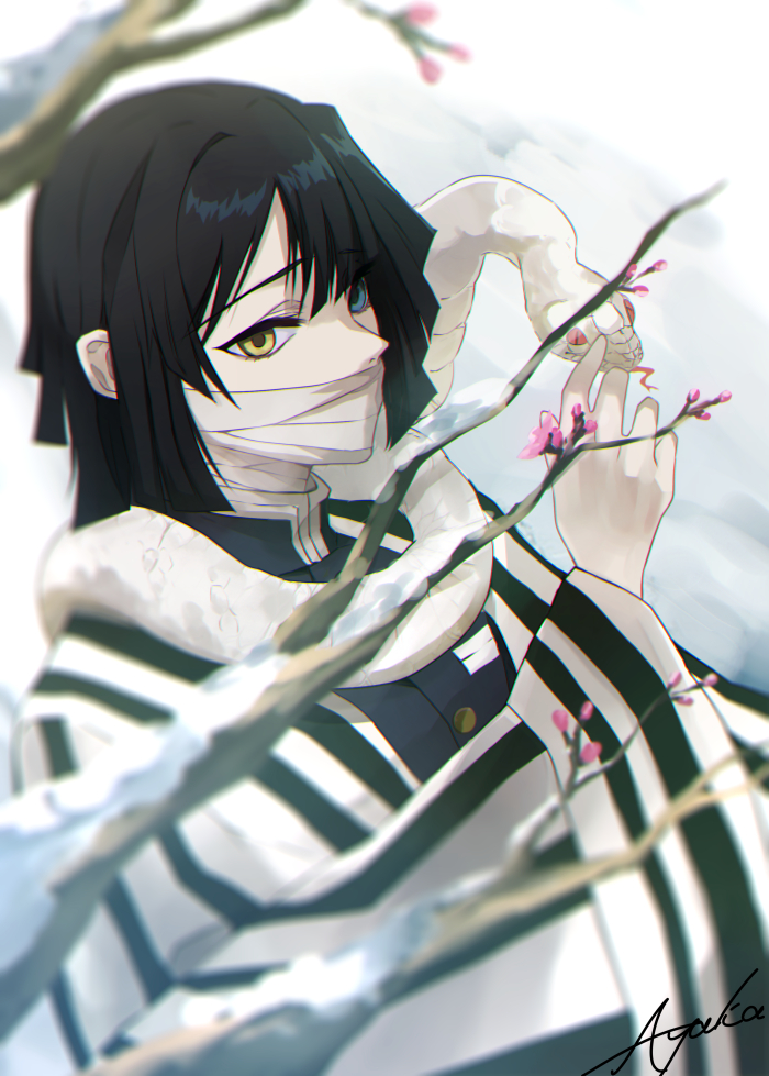 7.png