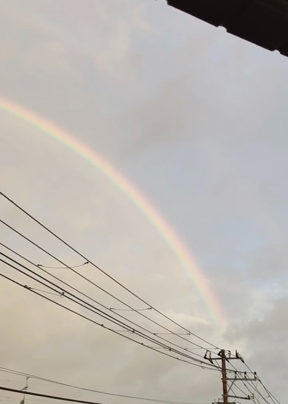 IMG_1025.jpeg
