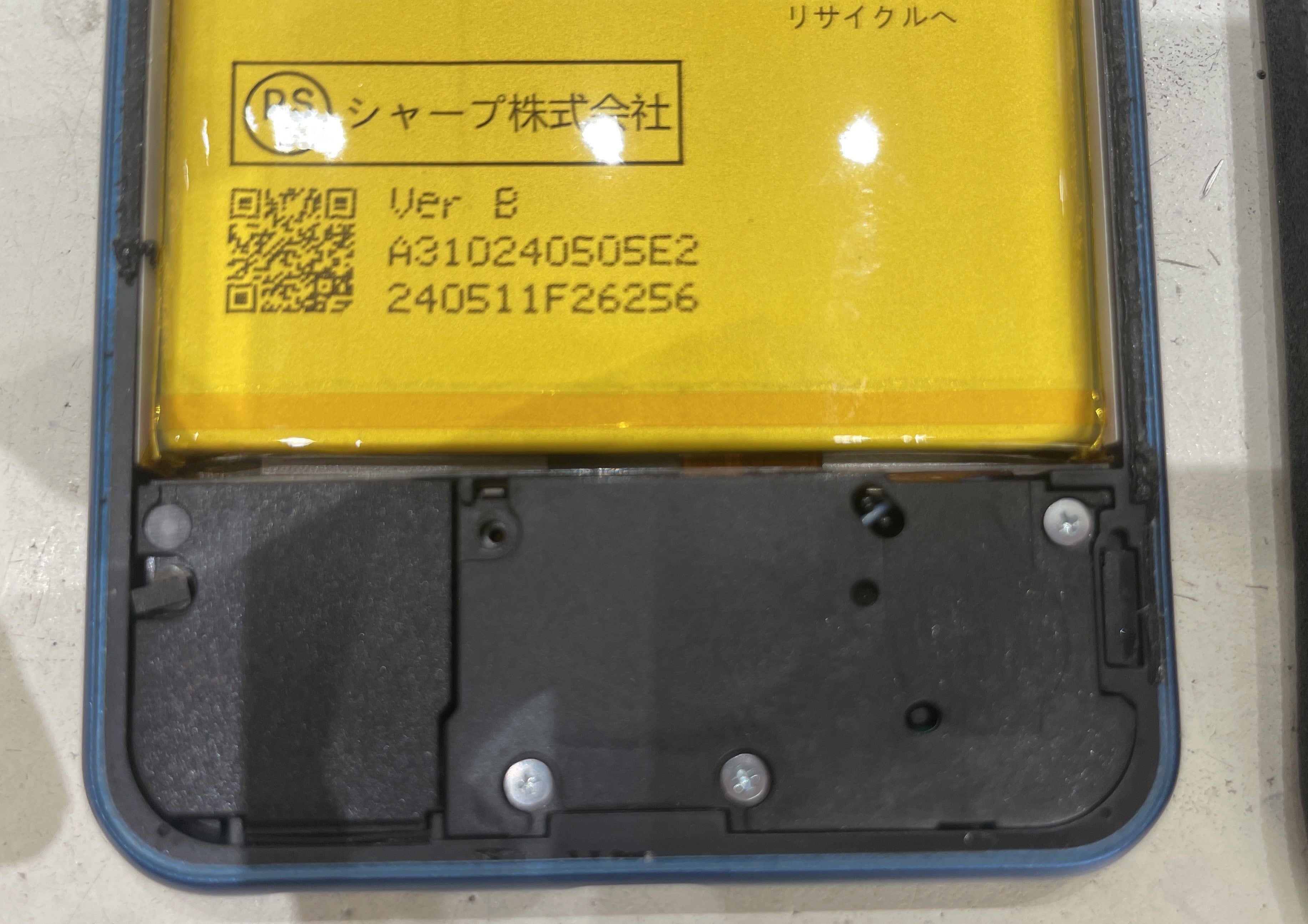 o3666258915785421008.jpg