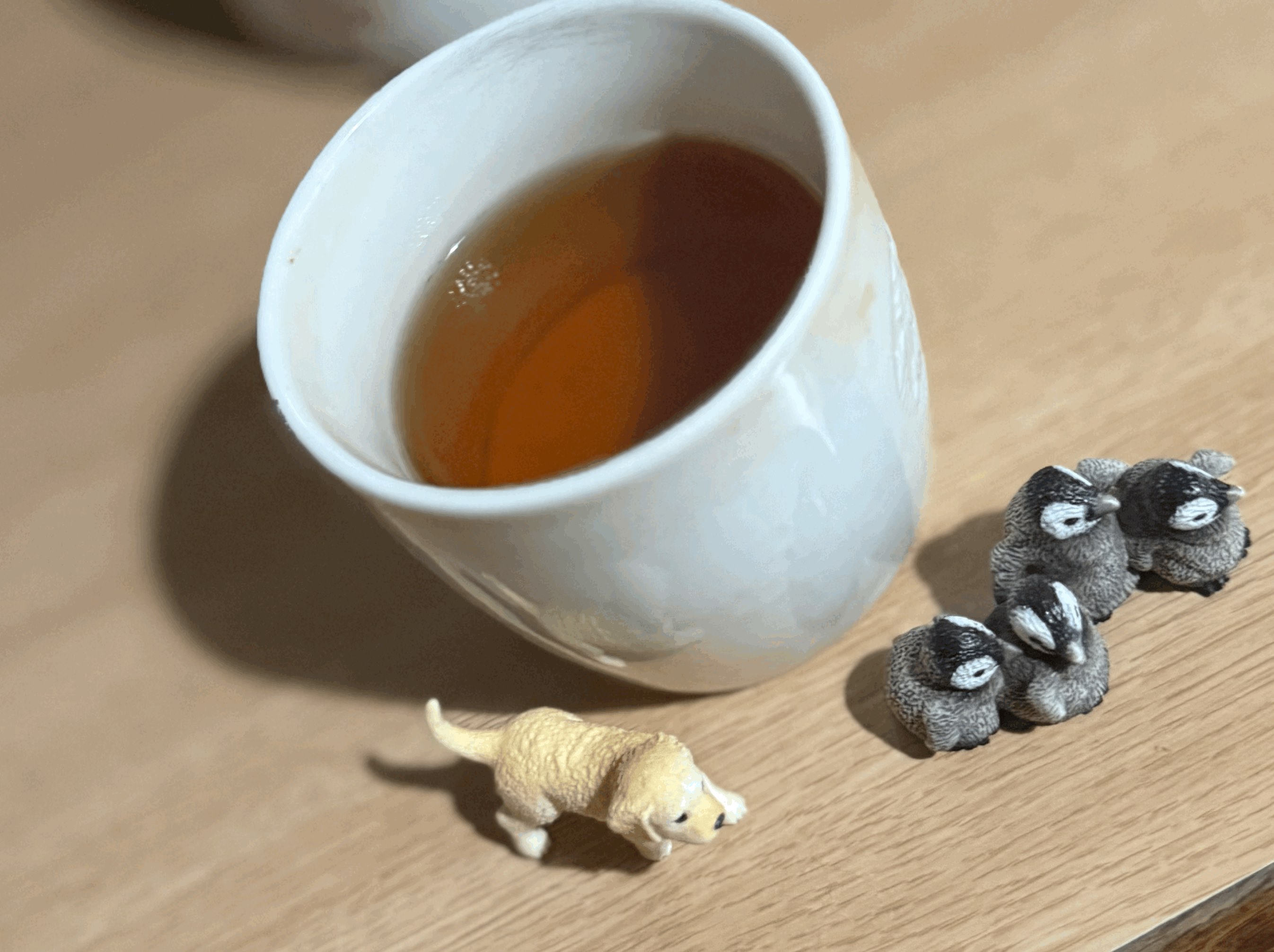 tempImageU3D2Ku.gif
