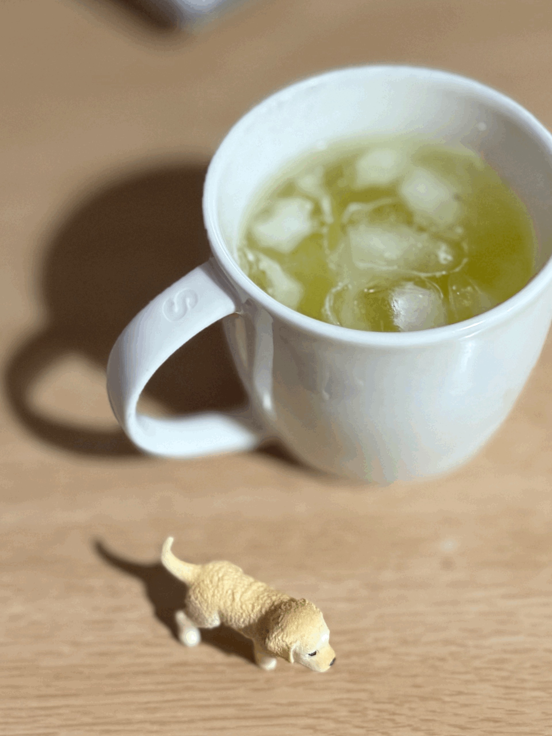 tempImageFGSza7.gif