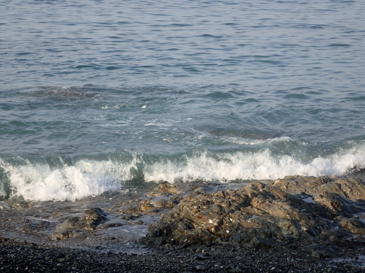 P8110442.JPG