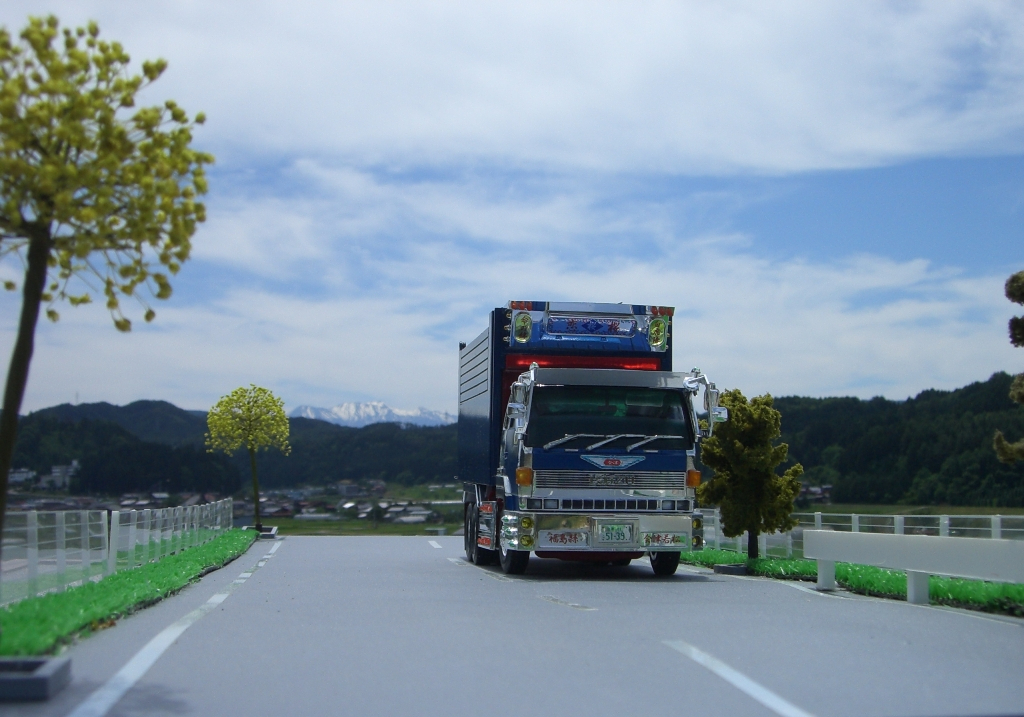 CIMG3351-1.jpg