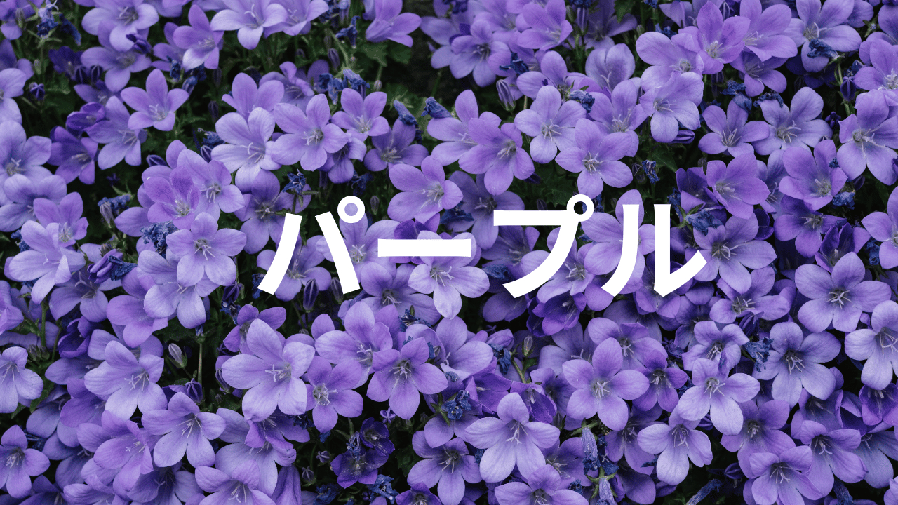見出しを追加 (49).png