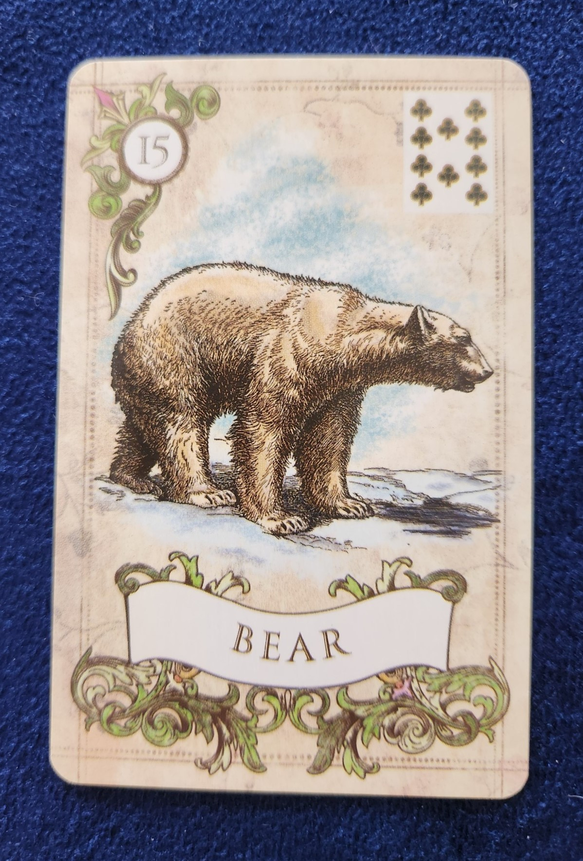 20231112_105733 (002).jpg