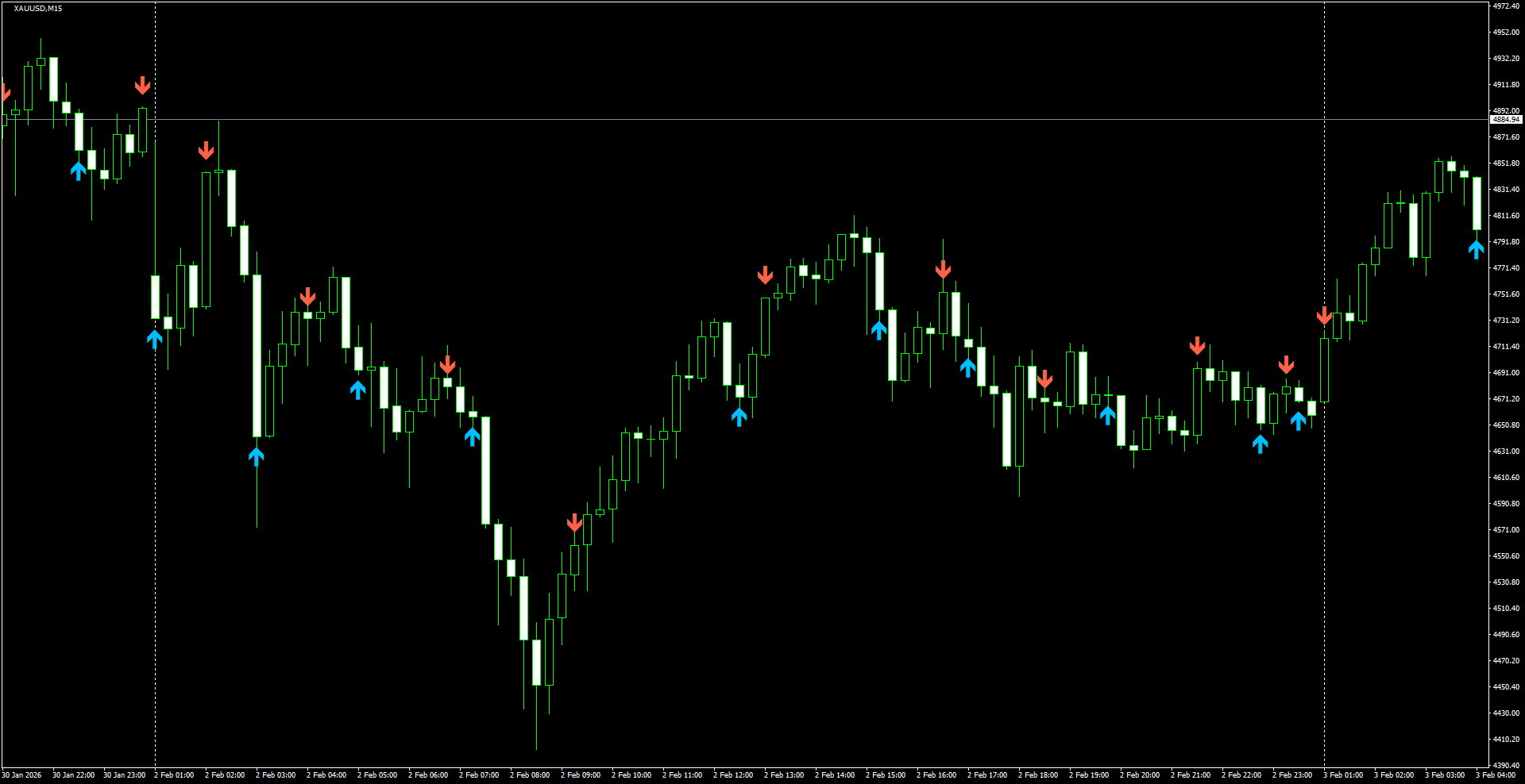 XAUUSD(M15)_2026.02.03_202447.png