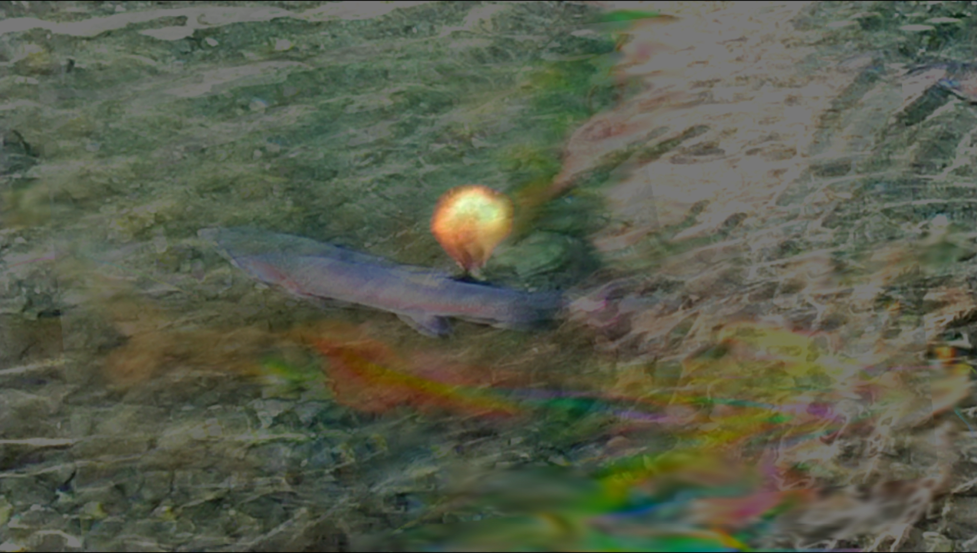 sketch-1679185327427.png