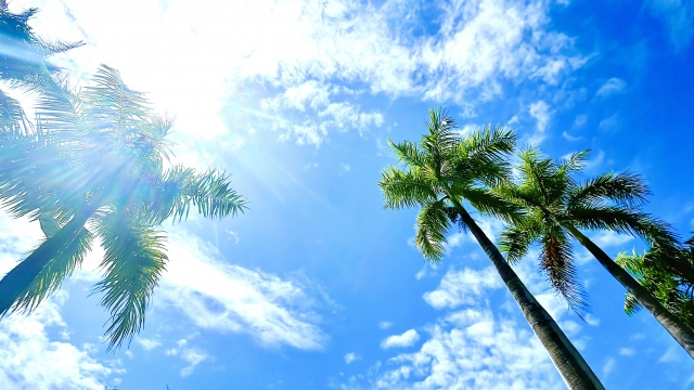 24307969_s-2.jpg