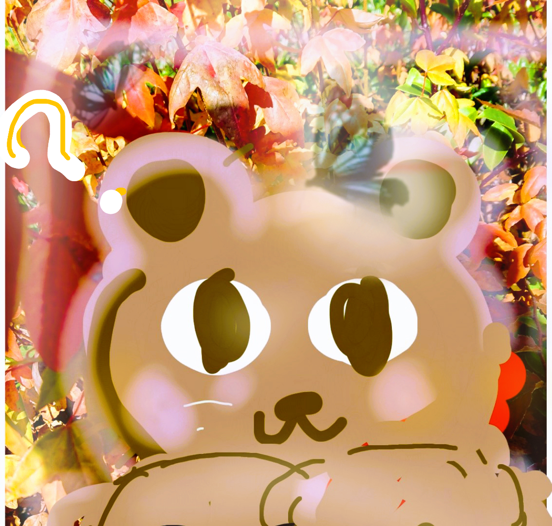 sketch-17314058921172222.png