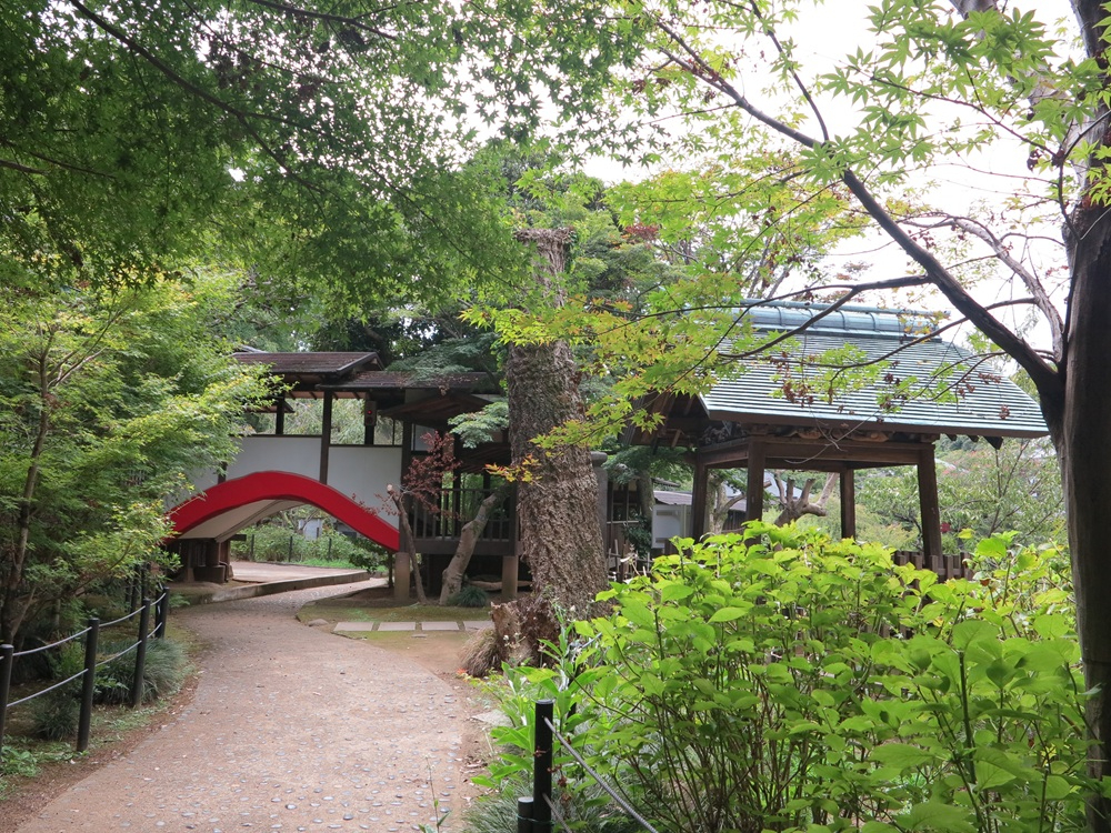 本土寺005.JPG