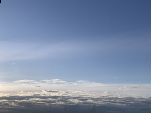 29208781_s.jpg