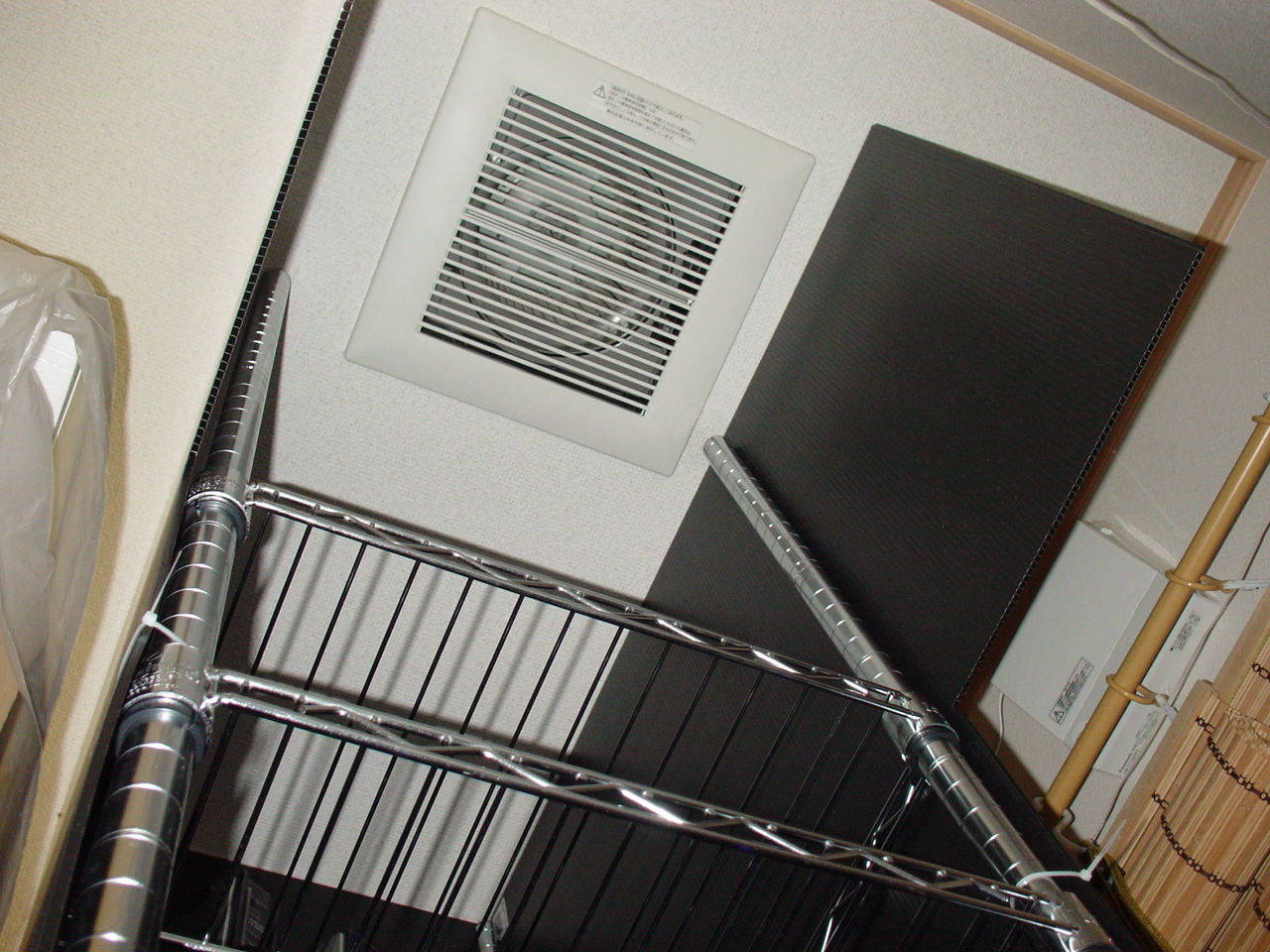 DSC03435.JPG