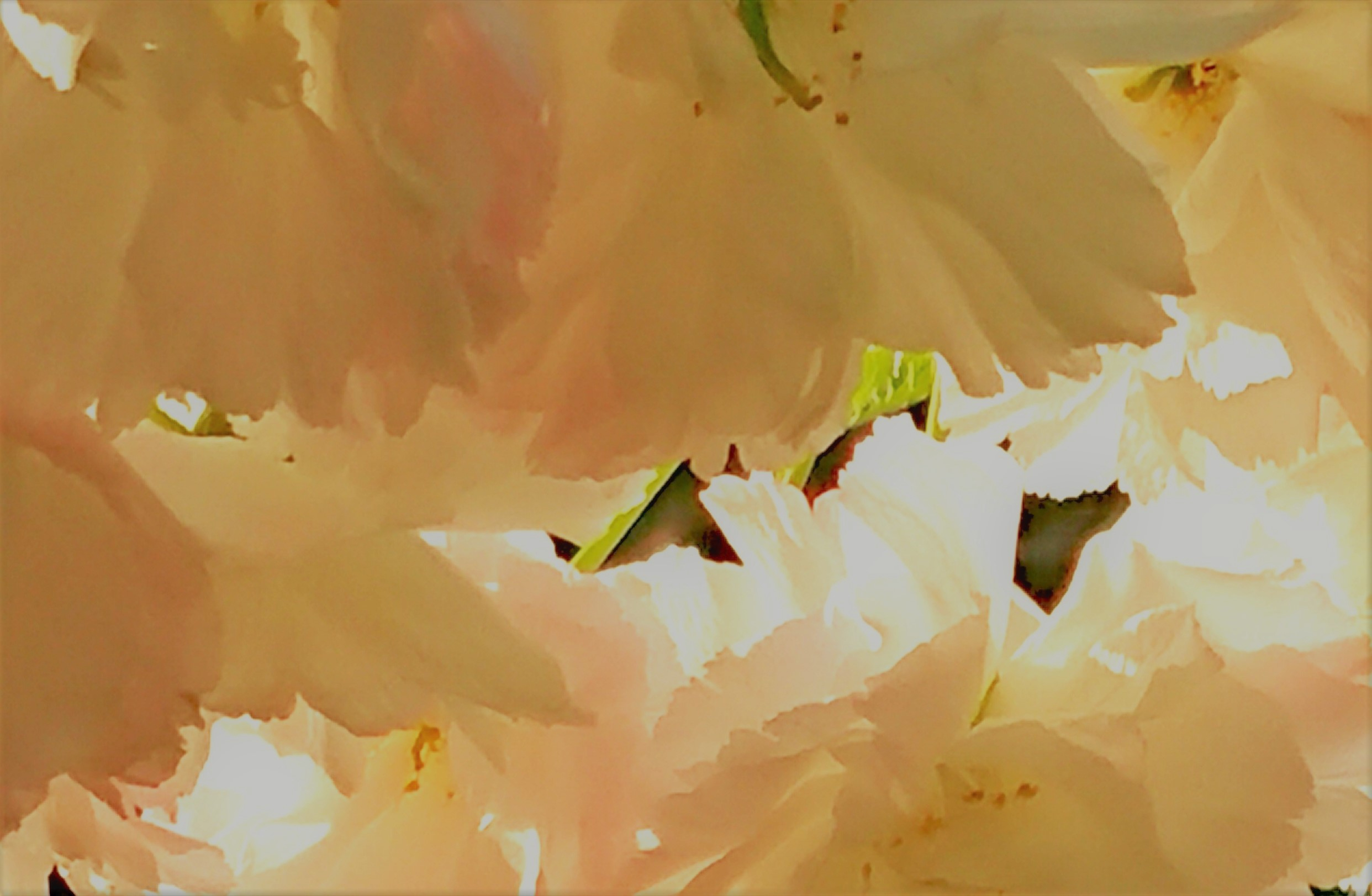 _20230408_105303 (2).JPG