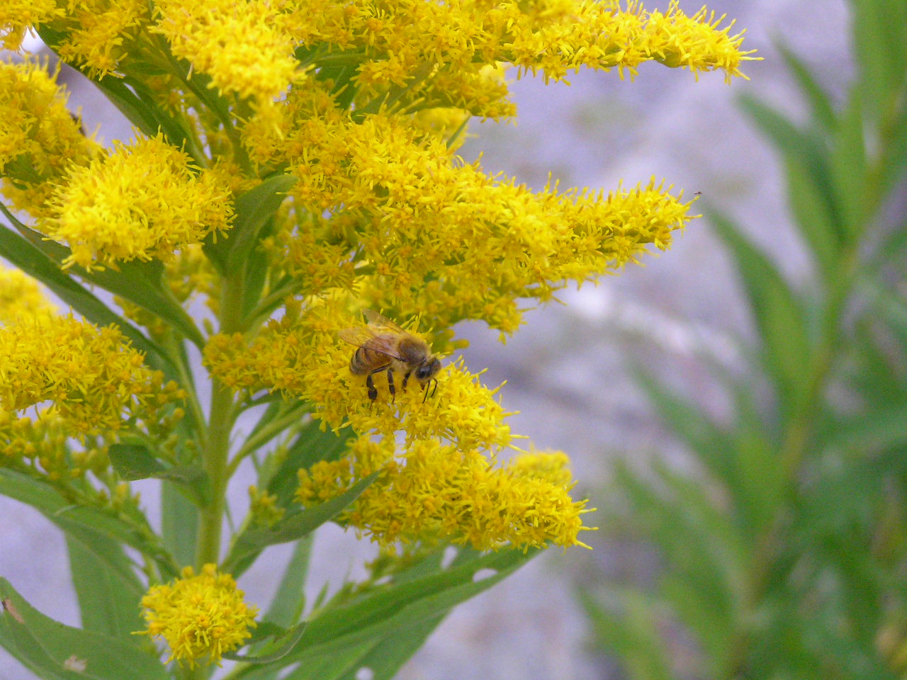PA260286.JPG