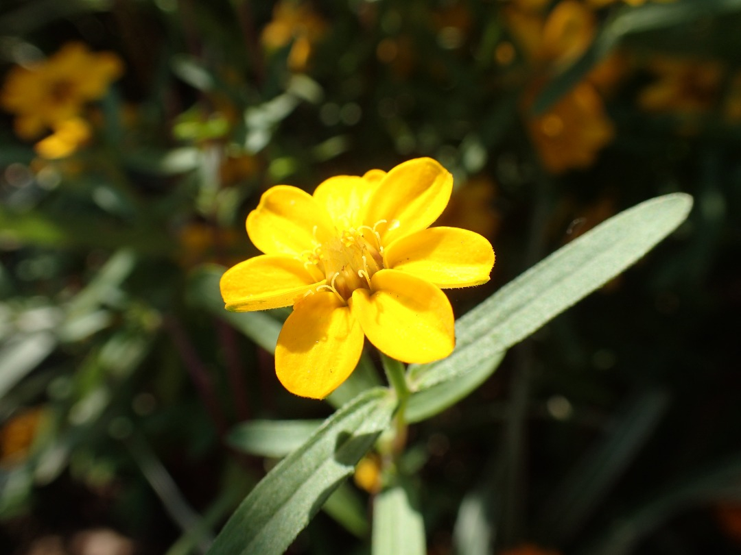 PA100082.JPG