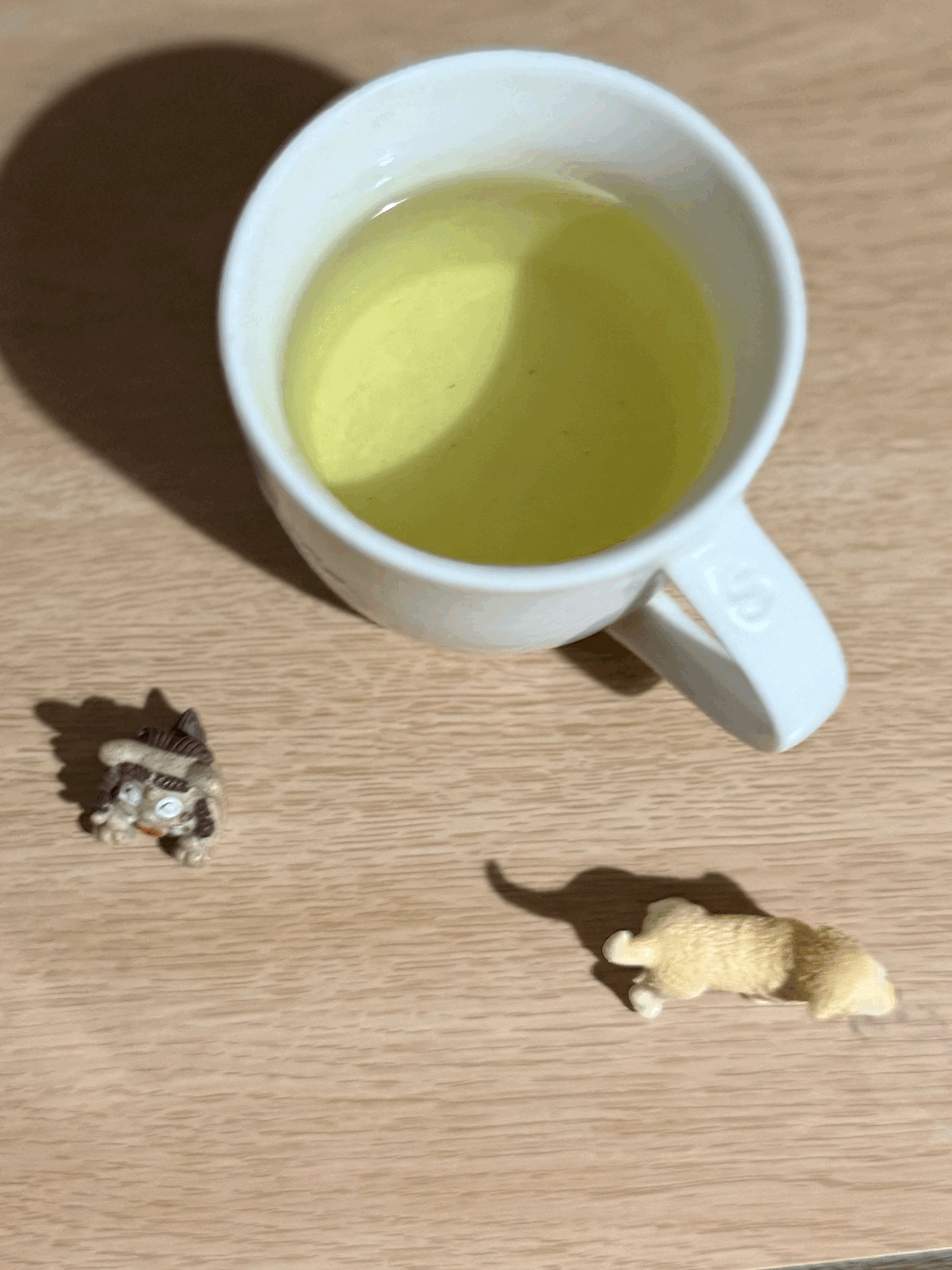 tempImageXZKqgb.gif