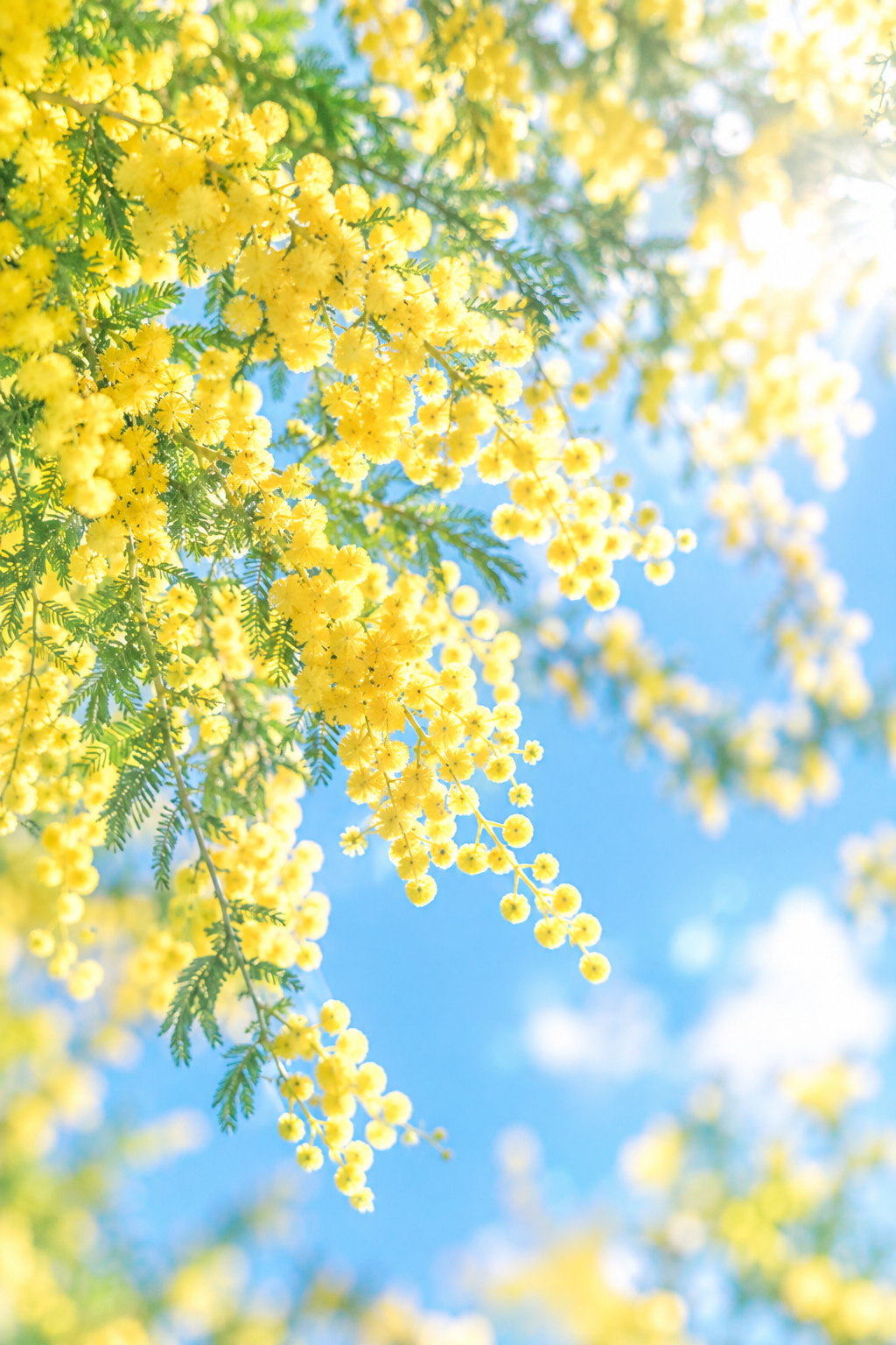 fc4dc0df-95bb-4bee-b7b3-1b4449781929_clean.png