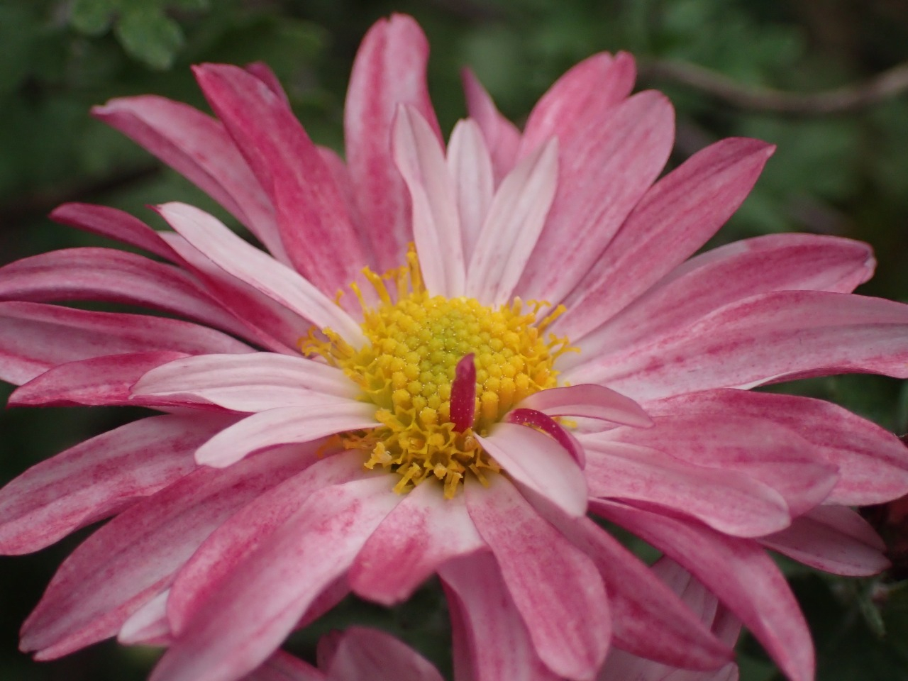 PA261485.JPG