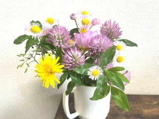 IMG_1204 (1).jpeg