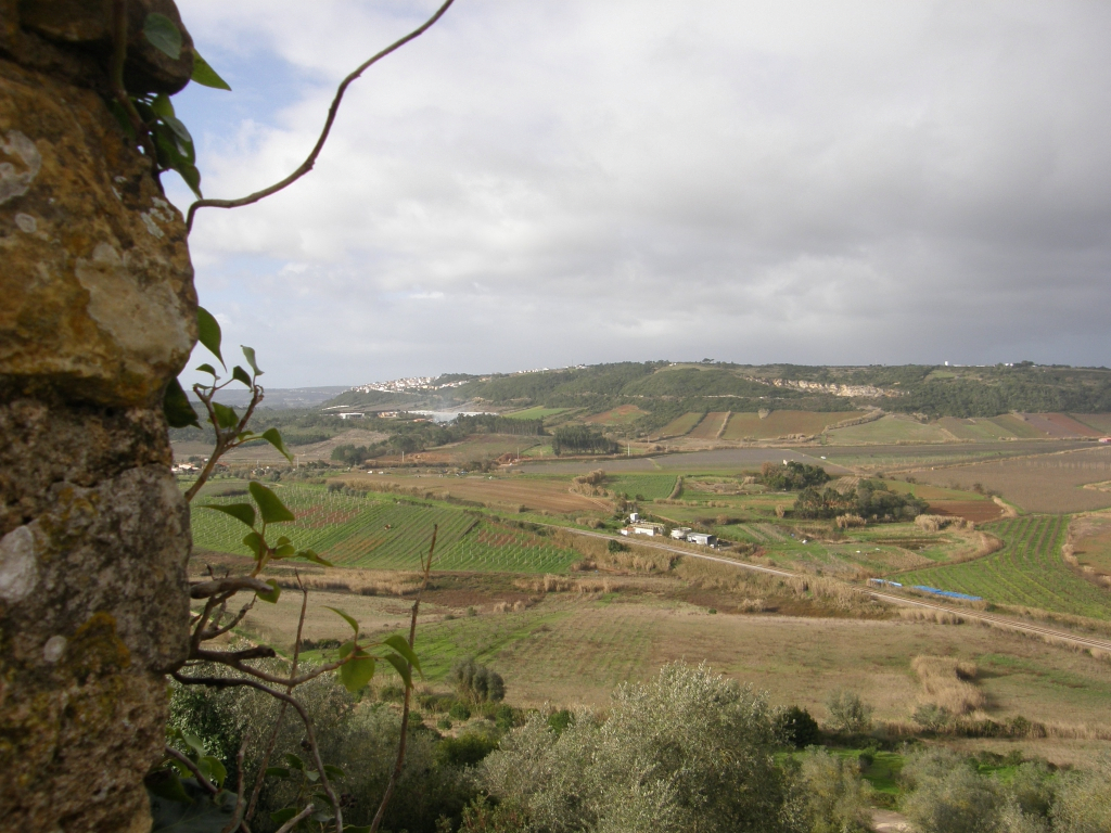 P1261553.JPG